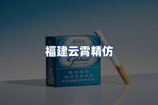 福建云霄精仿